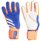 LUCBLU/SOLARRED